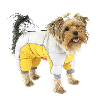 Фото: Зимний комбинезон для собак Chak желтый 12 M-2 Зимний комбинезон для собак Chak желтый 12 M-2